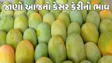 ધુરંધર 2: શું ખરેખર પાકિસ્તાનમાં હતો હમઝા જેવો ભારતીય જાસૂસ જાણો ઉઝૈર બલોચની અસલી કહાણી