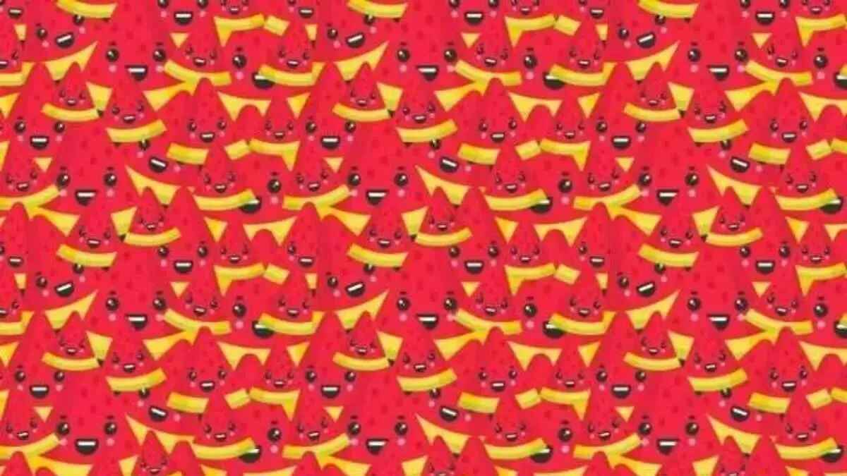 hidden-object-optical-illusion-with-answer-1769156707652 (1)